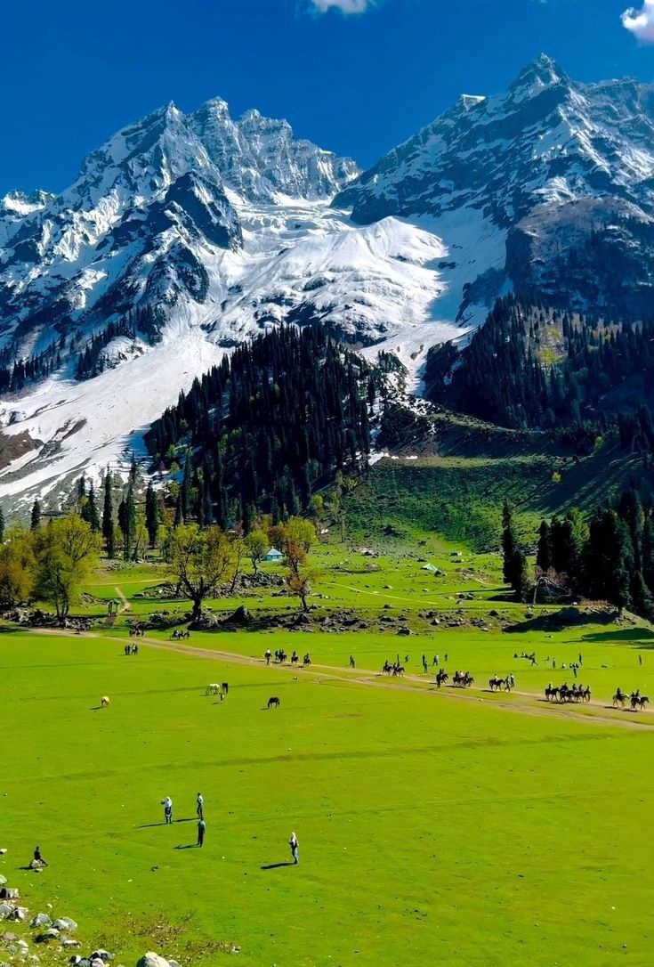 jammu kashmir tour