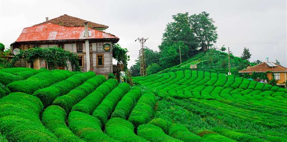 assam meghalaya tour package from hoptrip.fun